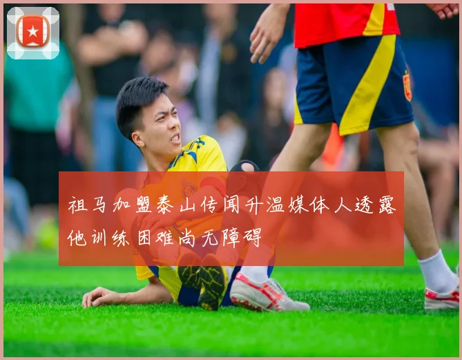 祖马加盟泰山传闻升温媒体人透露他训练困难尚无障碍
