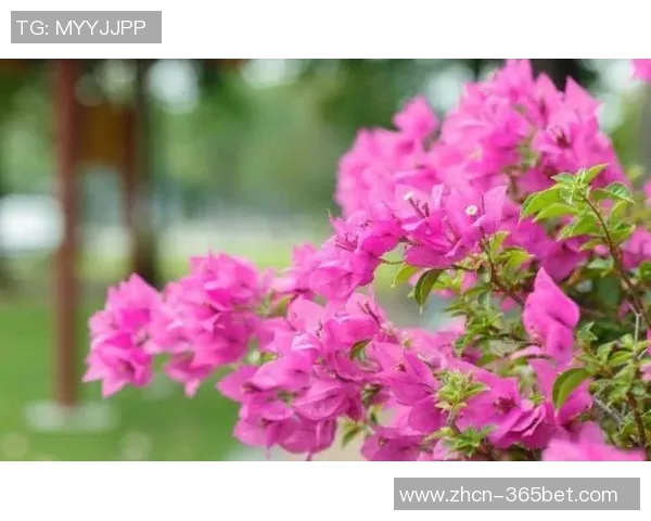 生活琐事与心灵感悟的碎碎念合集三十篇分享